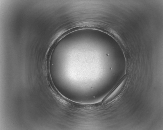 X0000062621075200512281523