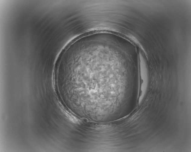 X0000062621076200512281523