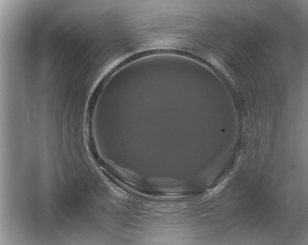 X0000062621077200512281523