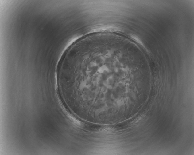 X0000062621079200512281523