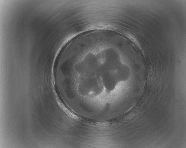 X0000062621080200512281523