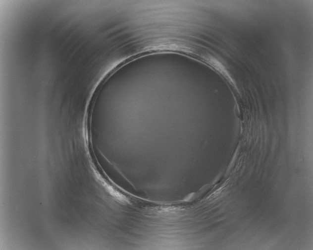 X0000062621084200512281523