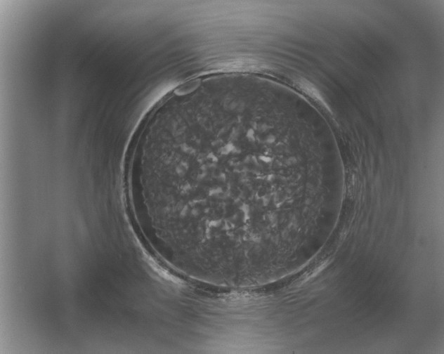 X0000062621087200512281523