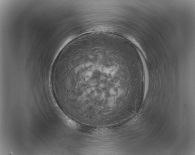 X0000062621091200512281523