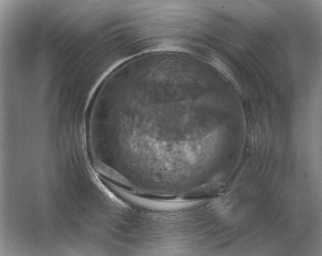 X0000062621092200512281523