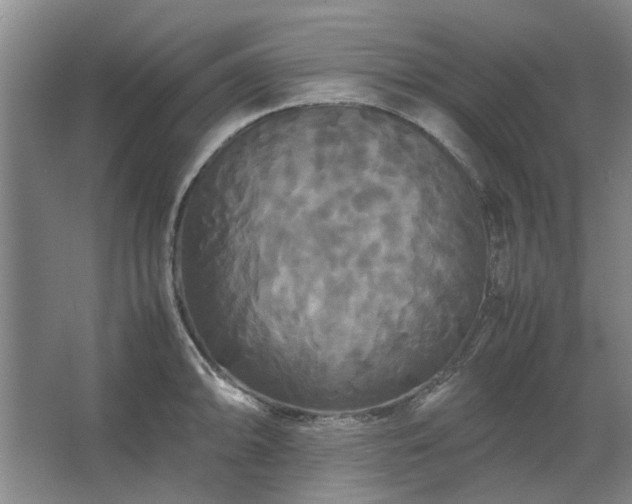 X0000062621094200512281523