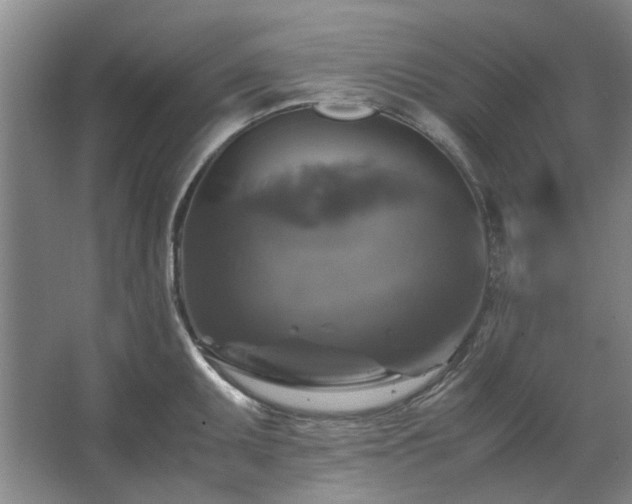 X0000062621095200512281523