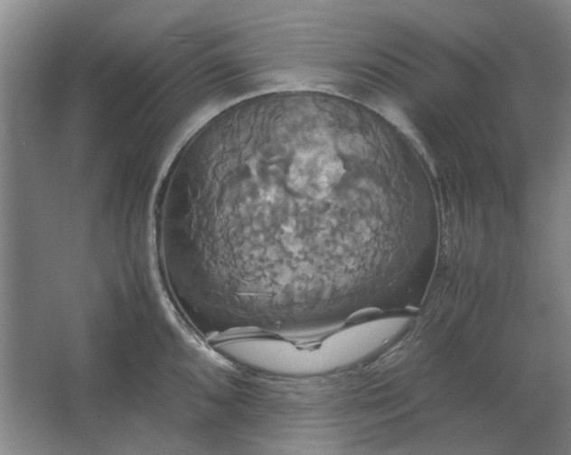 X0000062621096200512281523