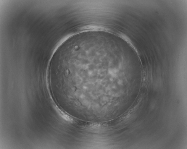 X0000062621098200512281523