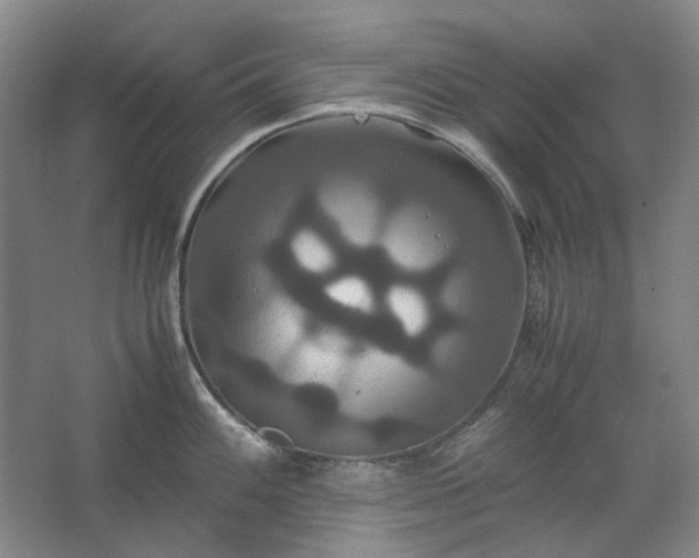 X0000062621100200512281523