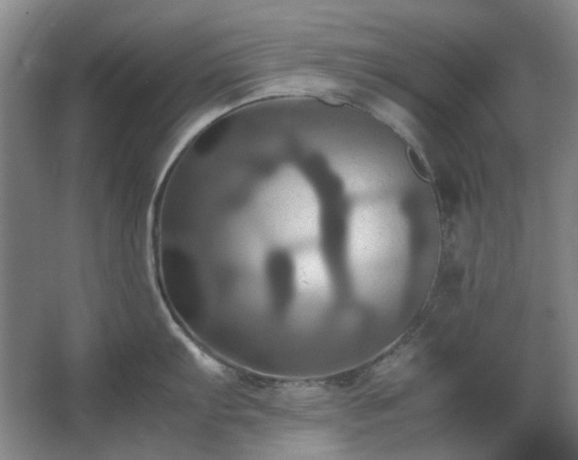 X0000062621103200512281523