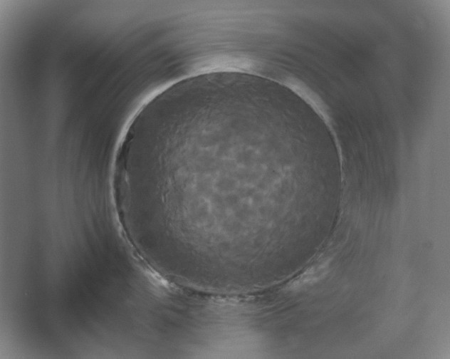 X0000062621104200512281523