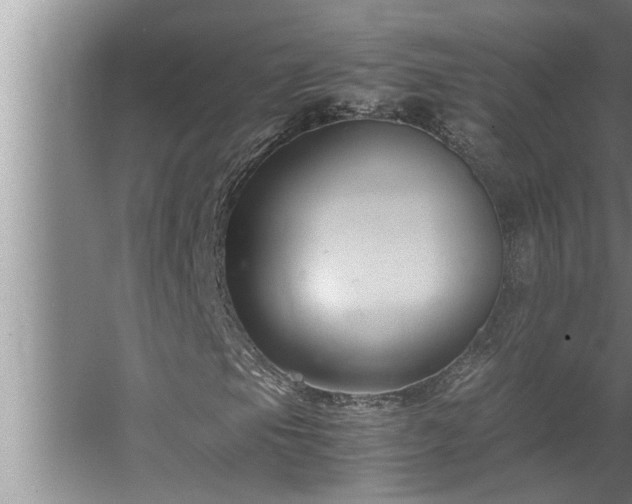 X0000062621105200512281522