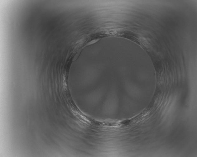 X0000062621106200512281522