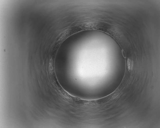 X0000062621107200512281522