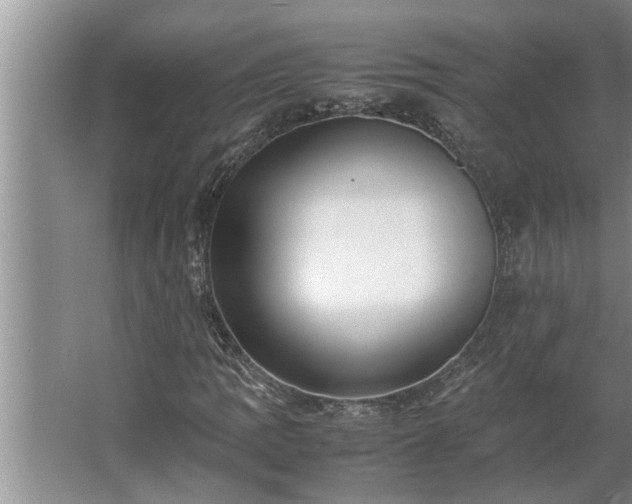 X0000062621109200512281522