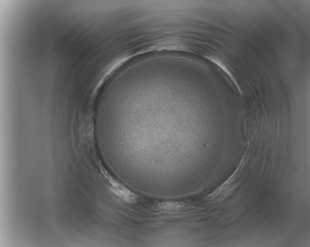 X0000062621115200512281522