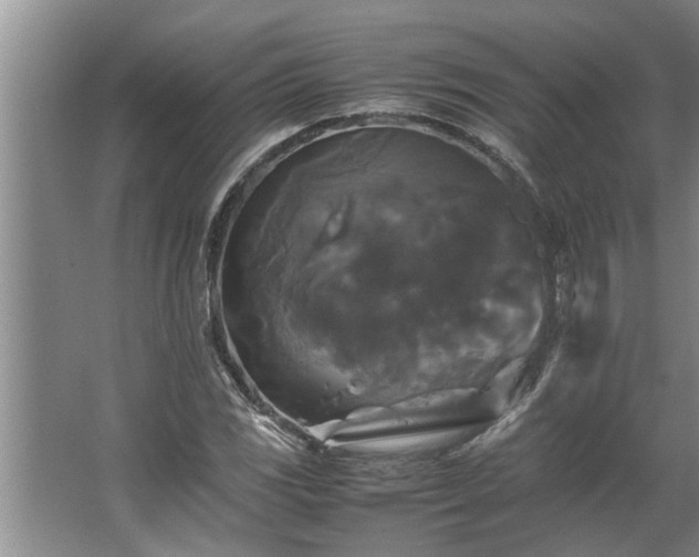 X0000062621117200512281522