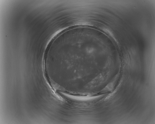 X0000062621125200512281522