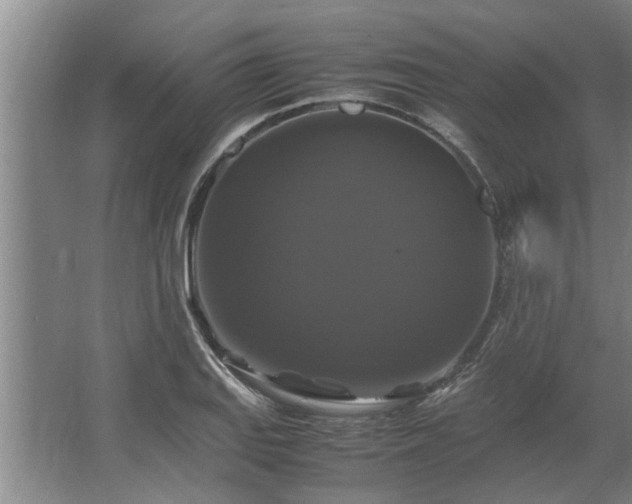 X0000062621127200512281522