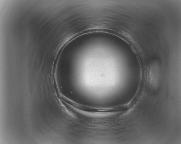 X0000062621129200512281522