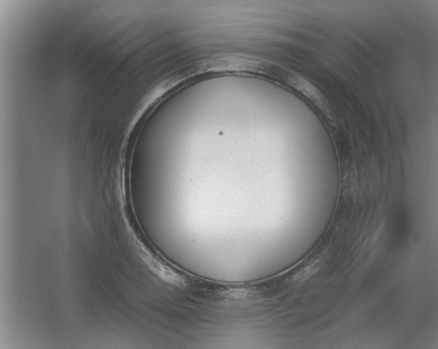 X0000062621130200512281522