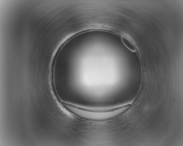 X0000062621136200512281522