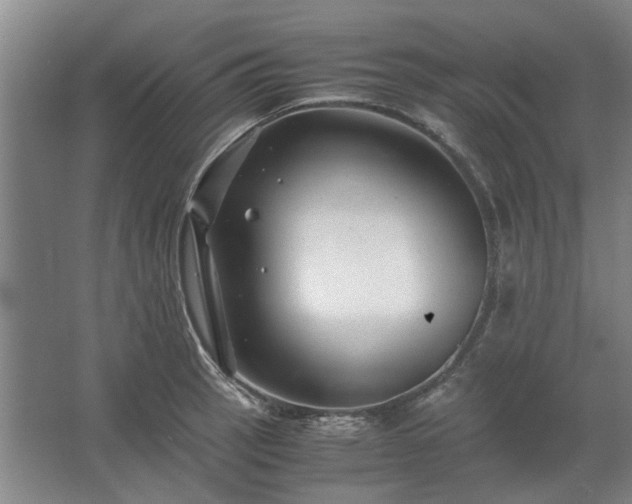 X0000062621137200512281522