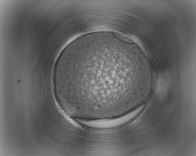 X0000062621142200512281523