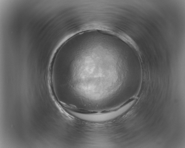 X0000062621144200512281523