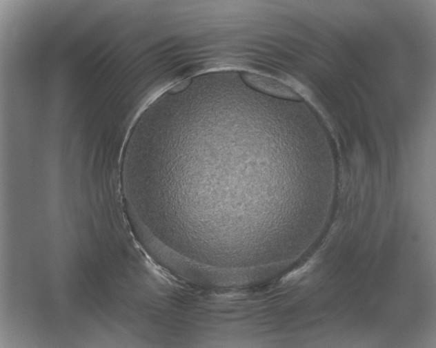 X0000062621145200512281523