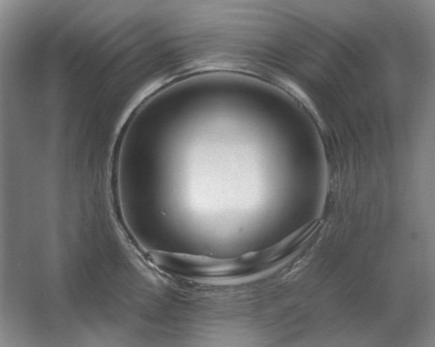 X0000062621146200512281523