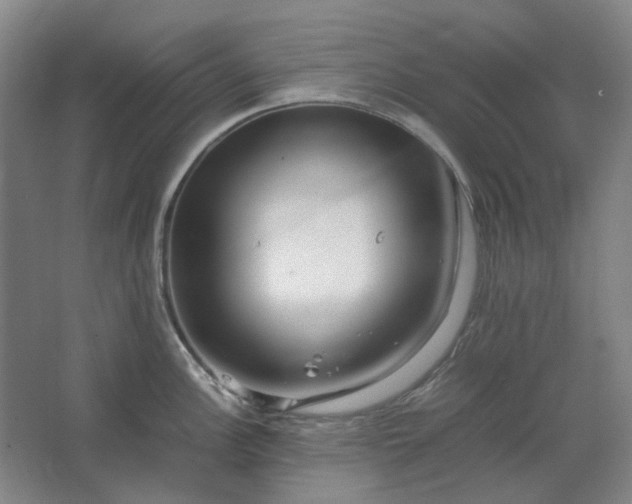 X0000062621148200512281523