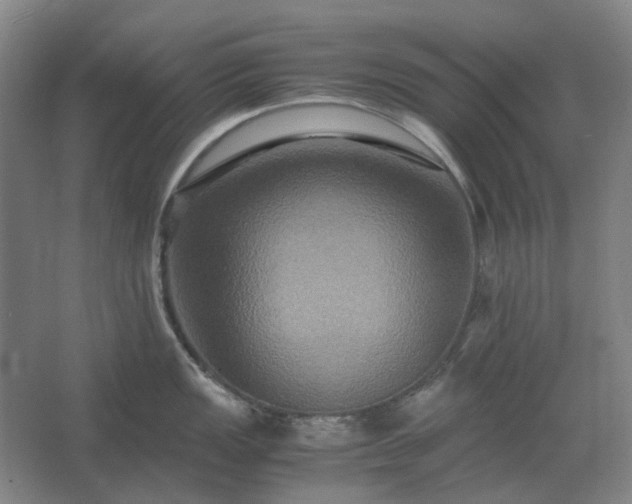 X0000062621149200512281523