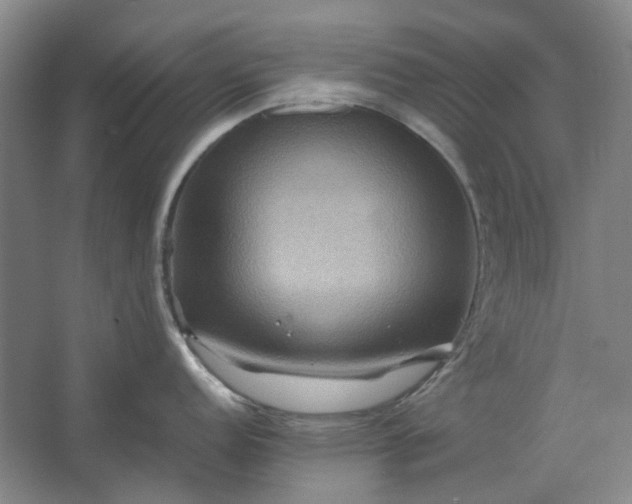 X0000062621152200512281523