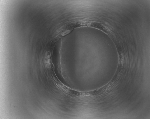 X0000062621154200512281522