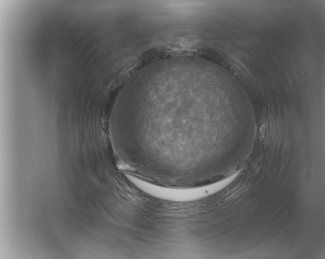 X0000062621156200512281522