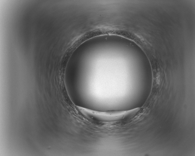 X0000062621157200512281522