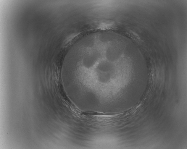 X0000062621158200512281522