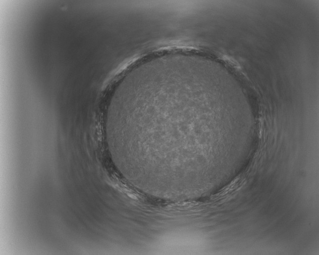 X0000062621159200512281522