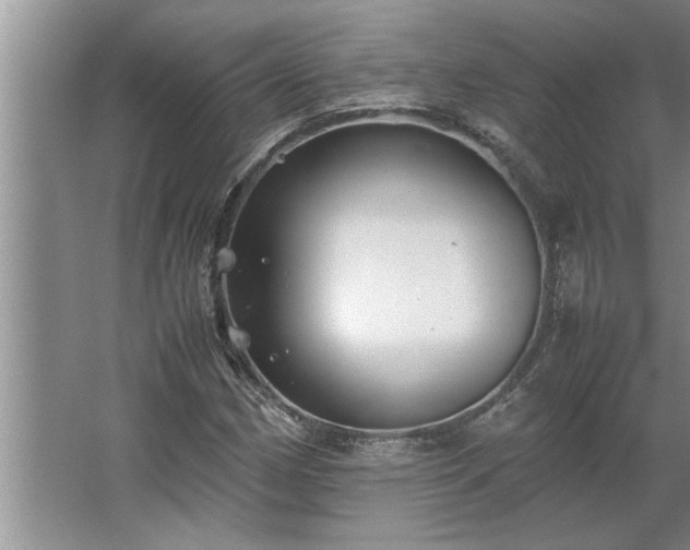 X0000062621162200512281522