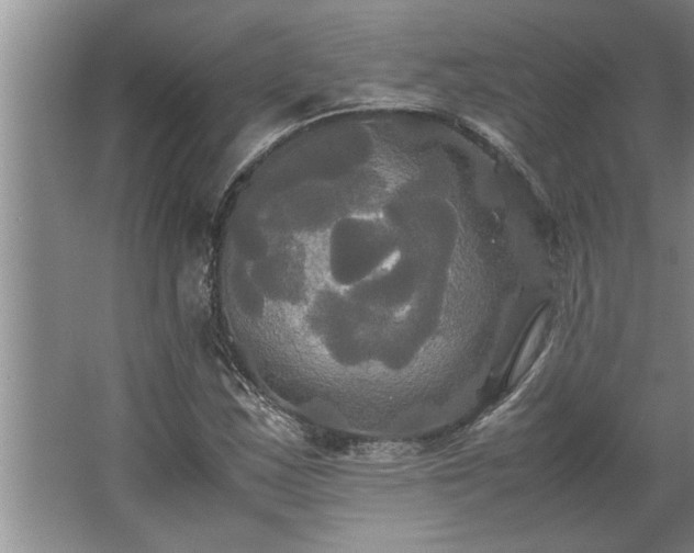 X0000062621163200512281522