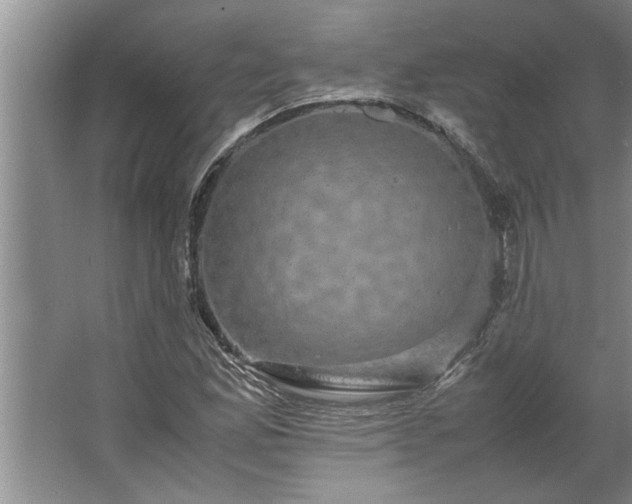 X0000062621165200512281522