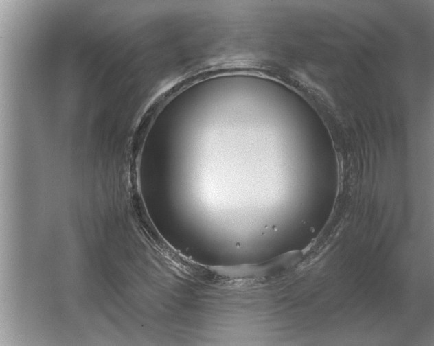 X0000062621166200512281522