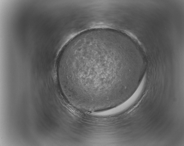 X0000062621167200512281522