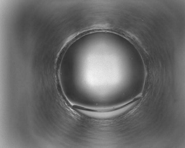 X0000062621168200512281522