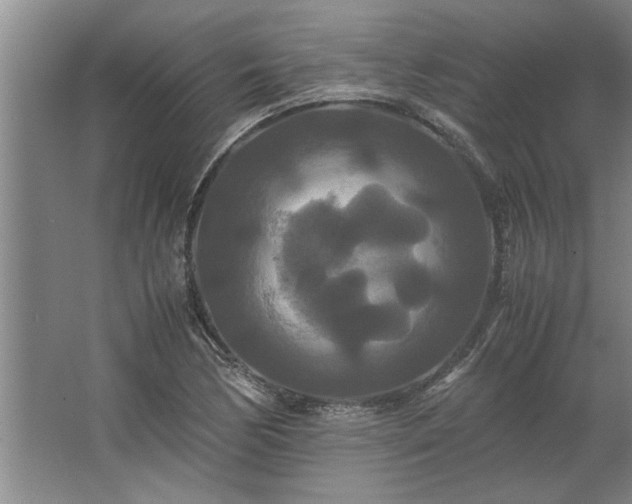 X0000062621170200512281522