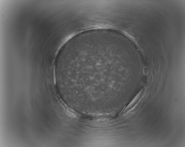 X0000062621171200512281522