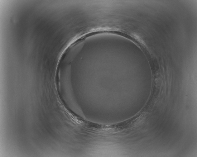 X0000062621173200512281522