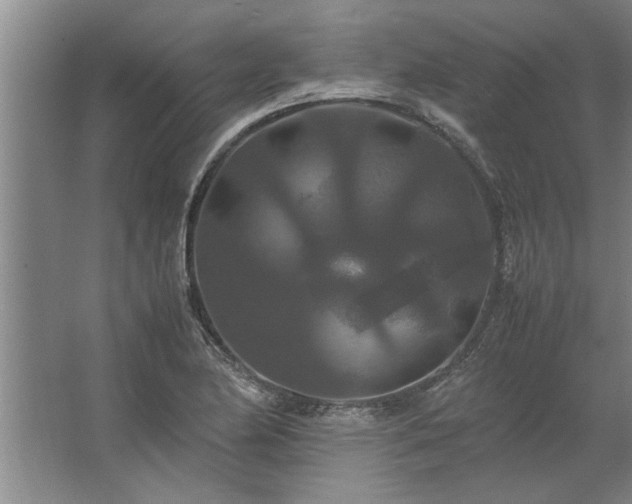 X0000062621174200512281522